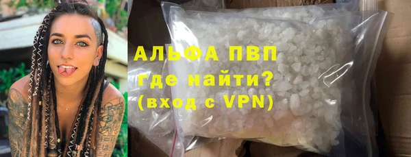 PSILOCYBIN Верхний Тагил