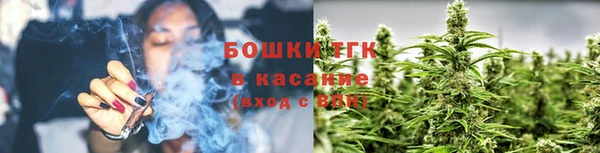 мдпв Верея