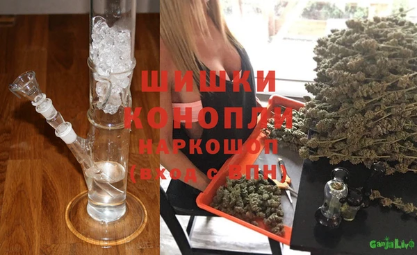 PSILOCYBIN Верхний Тагил