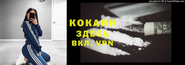 PSILOCYBIN Верхний Тагил
