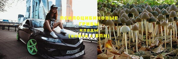 мдпв Верея