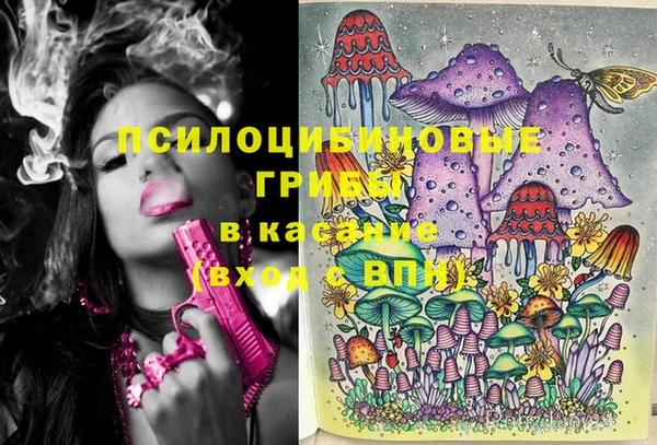 ГАЛЛЮЦИНОГЕННЫЕ ГРИБЫ Верхнеуральск