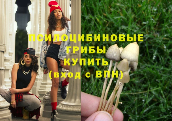 PSILOCYBIN Верхний Тагил